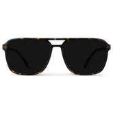 Harvey | Polarized