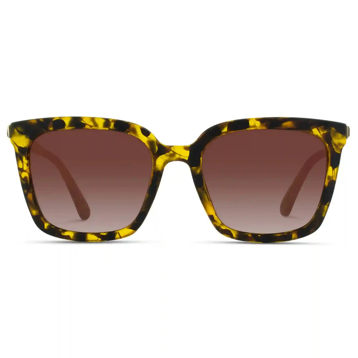 Madison | Polarized