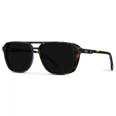 Harvey | Polarized