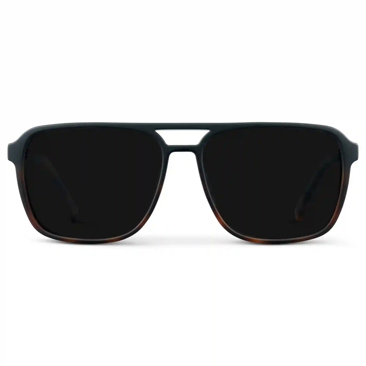 Harvey | Polarized